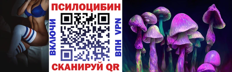 Псилоцибиновые грибы мицелий  купить закладку  KRAKEN зеркало  Гусев 